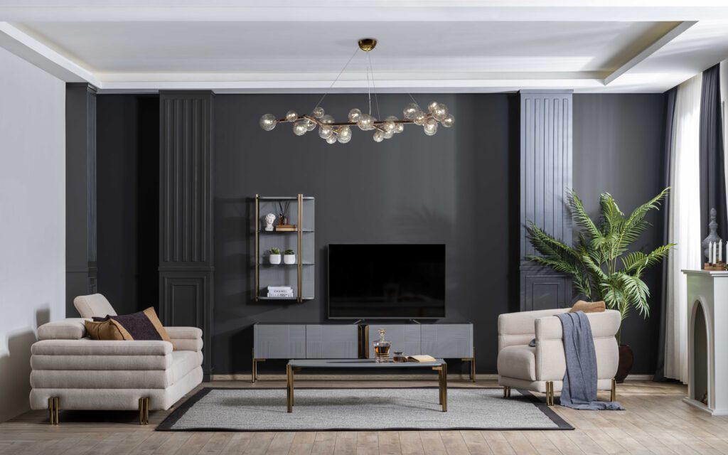 PETRA TV UNIT